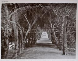 Holme, Charles(szerk.): The gardens of England. In the midland & eastern counties. London, Paris...