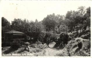 Kolozsvár, Cluj; Botanikus kert / botanic garden