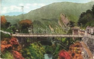 Hakone, Japanese bridge (EK)