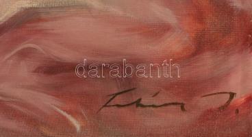 Olvashatatlan jelzéssel: Balerina. Olaj, vászon, 80×60 cm