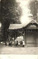 1927 Zajzonfürdő, Zizin; Izvorul Ferdinand / Ferdinánd forrás / spa, spring. photo (EK)