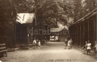 Zajzonfürdő, Zizin; park, sétány, zenepavilon / park promenade, music pavilion. photo