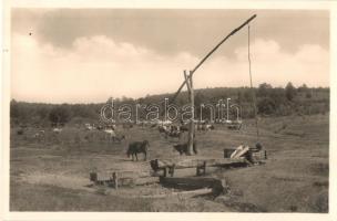 Tornalja, Tornala; Napájenie / Delelő. J. Chorváta kiadása / park