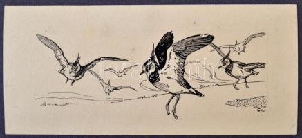 Dobay jelzéssel: Vadászattal kapcsolatos képek. Tus, akvarell, 11x19 cm (45×) Albumban