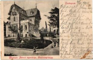 Budapest XII. Széchenyi-hegy, Wellisch Alfréd nyaralója, villa (vágott / cut)