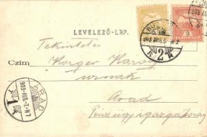 Budapest I. Gellérthegy látképe az Erzsébed híd építése előtt, hajóállomás gőzhajókkal, a Szt. Gellé...