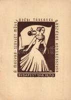 Hungarian-Soviet cultural society