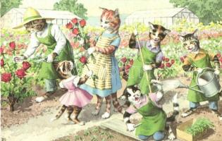 Gardener cats. Colorprint B. Special 2274/2.