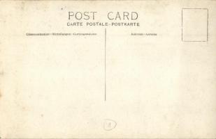 1910 Lenti mellett vadorzó által lőtt capitalis (agancs) / Antler shot by Hungarian poacher. photo