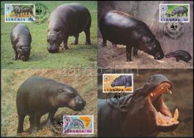WWF: Pygmy hippopotamus set on 4 CM, WWF: Törpe víziló sor 4 db CM-en