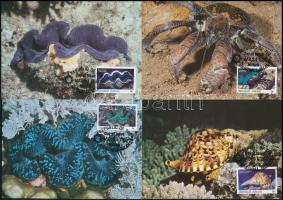 WWF: Sea creatures set on 4 CM, WWF: Tengeri élőlények sor 4 db CM-en