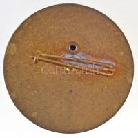 ~1970 "Körzeti megbízott" zománcozott jelvény (35mm) T:2