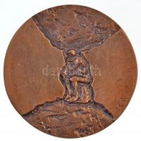 Csíkszentmihályi Róbert (1940-) 1973. "Eötvös Loránd-díj" Br érem (65mm) T:1- Hungary 1973...