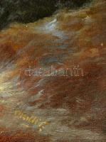 Olvashatatlan jelzéssel: Korcsolyázók, olaj, vászon, díszes fa keretben, sérült, 33,5×50 cm