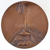 ~1970-1980. "Szabó Ervin-emlékérem / A tudományért - A művelődésért" Br emlékérem (81mm) T...