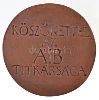 Asszonyi Tamás (1942-) DN "Az Ifjúságért / Ifjúsági díj ÁIB (Állami Ifjúsági Bizottság)" B...