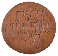 Kiss Nagy András (1930-1997) 1973- "Apáczai Csere János díj" egyoldalas Br plakett (~83mm)...