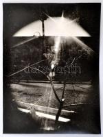 cca 1960 és 1980 közötti vintage fényképek, sokféle témáról, egy részük feliratozva, 18x24 cm és 13x...