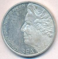 Hollandia 1995. 10G Ag "Hugo de Groot" T:1-,2(PP)
Netherlands 1995. 10 Gulden Ag "Hu...