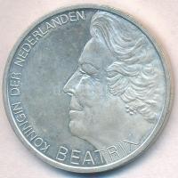 Hollandia 1995. 10G Ag "Hugo de Groot" T:1-,2(PP)
Netherlands 1995. 10 Gulden Ag "Hu...