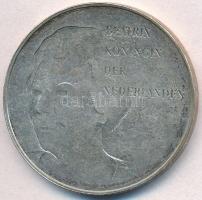 Hollandia 1995. 50G Ag "A felszabadulás 50. évfordulója" T:2
Netherlands 1995. 50 Gulden ...