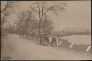 4 db különféle témájú, vintage fotó, 3 feliratozva, 20x17,5 cm és 23x18 cm között