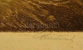 Paulovits Pál (1892-1975): Hazatérés. Színezett rézkarc, karton, jelzett, 28×42 cm