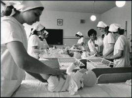 cca 1975 Feliratozott vagy jelzett fotóművészeti alkotások, 3 db fotó, 23x17 cm és 23x16 cm