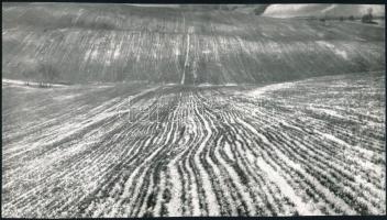 cca 1974 Zsigri Oszkár (1933-?) hagyatékából 2 db vintage fotóművészeti alkotás, az egyik feliratozo...