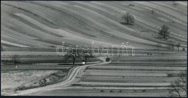 cca 1973 Zsigri Oszkár (1933-?) hagyatékából 2 db feliratozott, vintage fotóművészeti alkotás, 12x24 cm