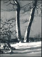 cca 1968 Gebhardt György (1910-1993) hagyatékából 2 db jelzés nélküli, vintage fotóművészeti alkotás...