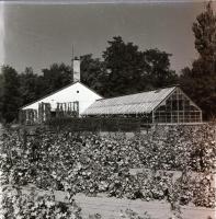 cca 1967 Kecskeméti városképek, 21 db vintage negatív Medgyesi László (?-?) hagyatékából, 6x6 cm