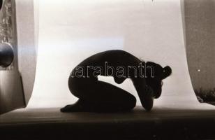 cca 1971 Mozdulatok, formák ellenfényben, 34 db szabadon felhasználható, vintage negatív, 24x36 mm