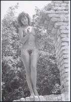 cca 1978 Véletlenszerű találkozások egy tételben, szolidan erotikus felvételek, 4 db vintage negatív...