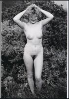 cca 1976 Bozontos bájos tájak, szolidan erotikus felvételek, 3 db vintage negatívról készült mai nagyítás, 25x18 cm / 3 erotic photos, 25x18 cm