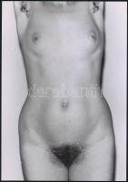 cca 1976 Torzók, szolidan erotikus felvételek, 3 db vintage negatívról készült mai nagyítás, 25x18 c...