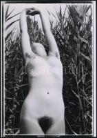 cca 1976 Torzók, szolidan erotikus felvételek, 3 db vintage negatívról készült mai nagyítás, 25x18 c...