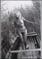 cca 1976 Szőke, barna, fekete, szolidan erotikus felvételek, 3 db vintage negatívról készült mai nag...