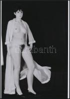 cca 1975 Bugyi nélküli létforma, szolidan erotikus felvételek, 3 db vintage negatívról készült mai n...