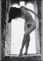 cca 1970 Tanulmányok a nőkről, szolidan erotikus felvételek, 3 db vintage negatívról készült mai nag...