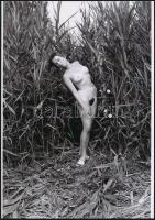 cca 1978 Száraz tónak nádas partján, szolidan erotikus felvételek, 3 db vintage negatívról készült m...