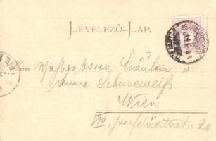 1898 Budapest V. Országház, Parlament, gőzhajó (EK)