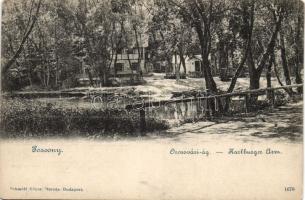 Poszony Oroszvári ág