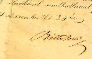 1871 Ledniczky István szolgabírói írnok mezőtúri járásbírósági írnoki kinevezése, Bittó István (1822...