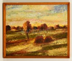 Szűcs János (1917-1995): Ősz, olaj, farost, jelzett, hátulján dedikációval, fa keretben, 49×59,5 cm
