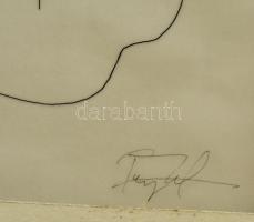 Olvashatatlan jelzéssel: Keresztmetszet, tus, papír, paszpartuban, 40,5×26 cm