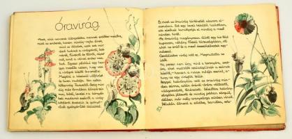 Szántó Dénes: Csigabusz és más mesék. Jaschlik Álmos rajzaival. (Bp.,1933,)Káldor Könyvkiadó-Magyar ...