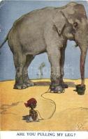 Are you pulling my leg? / Elephant with black boy s: T. Gilson (EK)