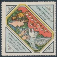 1900 I. Nemzetközi képes levelezőlap kiállítás Budapest levélzáró, R!