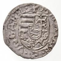 1489K-P Denár Ag "I. Mátyás" (0,64g) T:2
Hungary 1489K-P Denar Ag "Matthias I" ...